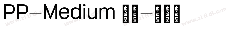 PP-Medium 常规字体转换